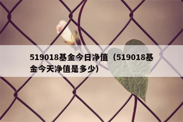 519018基金今日净值（519018基金今天净值是多少）