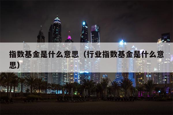 指数基金是什么意思（行业指数基金是什么意思）