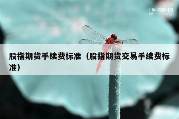股指期货手续费标准（股指期货交易手续费标准）