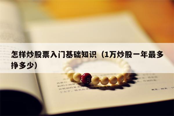 怎样炒股票入门基础知识（1万炒股一年最多挣多少）