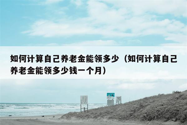 如何计算自己养老金能领多少（如何计算自己养老金能领多少钱一个月）