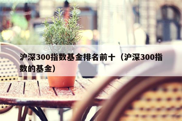 沪深300指数基金排名前十（沪深300指数的基金）