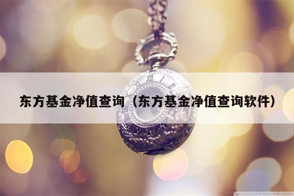 东方基金净值查询（东方基金净值查询软件）