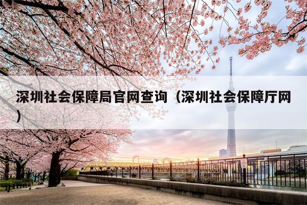 深圳社会保障局官网查询（深圳社会保障厅网）