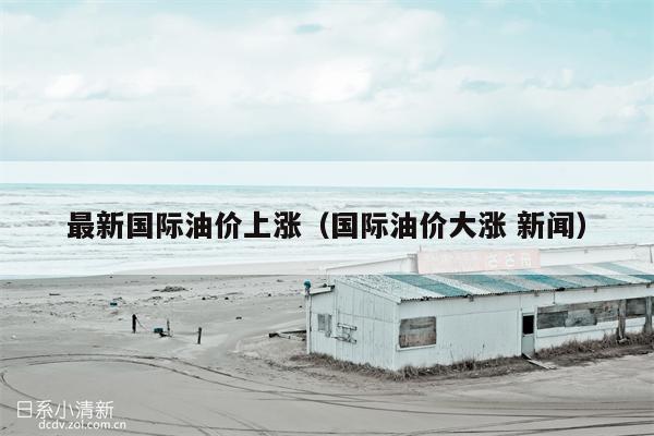 最新国际油价上涨（国际油价大涨 新闻）