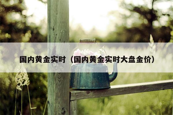 国内黄金实时（国内黄金实时大盘金价）