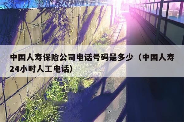 中国人寿保险公司电话号码是多少（中国人寿24小时人工电话）