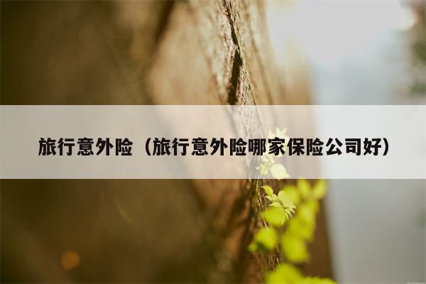 旅行意外险（旅行意外险哪家保险公司好）