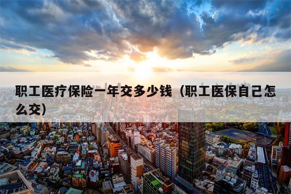 职工医疗保险一年交多少钱（职工医保自己怎么交）