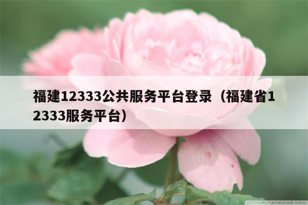 福建12333公共服务平台登录（福建省12333服务平台）
