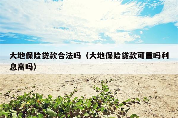 大地保险贷款合法吗（大地保险贷款可靠吗利息高吗）