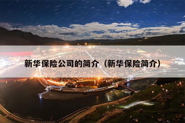 新华保险公司的简介（新华保险简介）