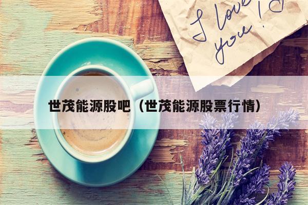 世茂能源股吧（世茂能源股票行情）