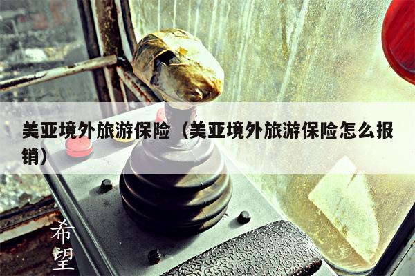 美亚境外旅游保险（美亚境外旅游保险怎么报销）