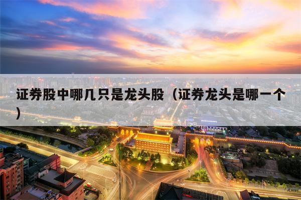 证券股中哪几只是龙头股（证券龙头是哪一个）