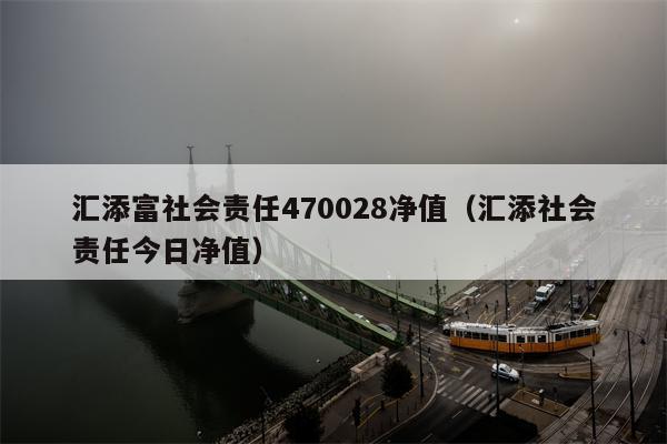汇添富社会责任470028净值（汇添社会责任今日净值）
