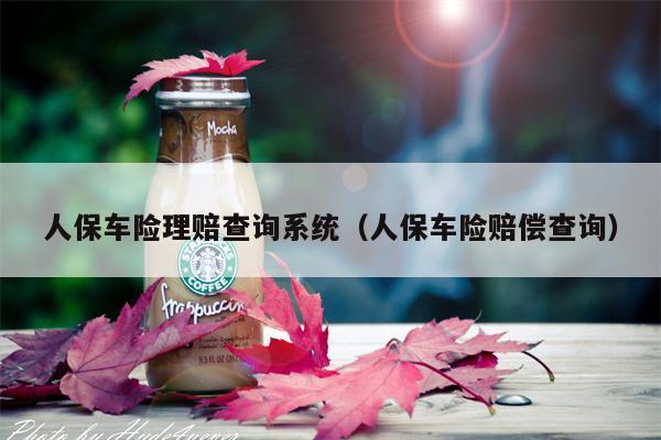 人保车险理赔查询系统（人保车险赔偿查询）