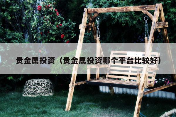 贵金属投资（贵金属投资哪个平台比较好）