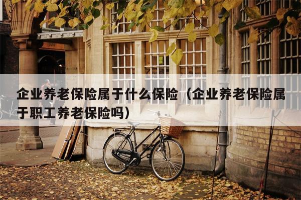 企业养老保险属于什么保险（企业养老保险属于职工养老保险吗）