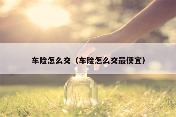 车险怎么交（车险怎么交最便宜）