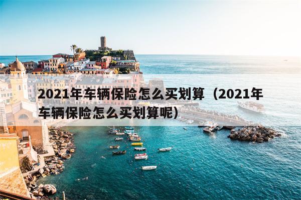 2021年车辆保险怎么买划算（2021年车辆保险怎么买划算呢）