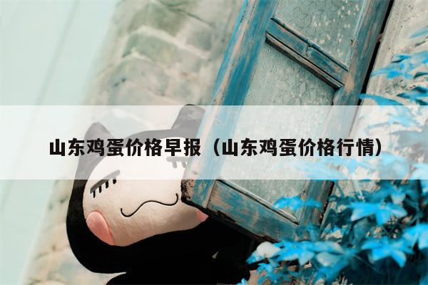 山东鸡蛋价格早报（山东鸡蛋价格行情）