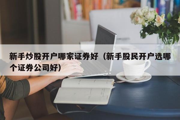 新手炒股开户哪家证券好（新手股民开户选哪个证券公司好）