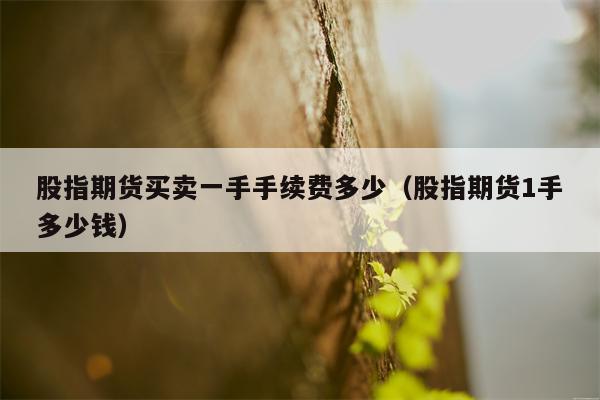 股指期货买卖一手手续费多少（股指期货1手多少钱）
