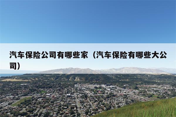 汽车保险公司有哪些家（汽车保险有哪些大公司）