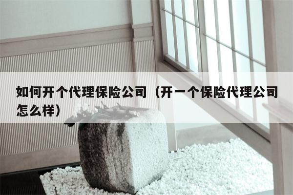 如何开个代理保险公司（开一个保险代理公司怎么样）