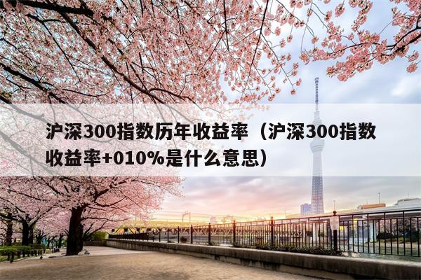 沪深300指数历年收益率（沪深300指数收益率+010%是什么意思）