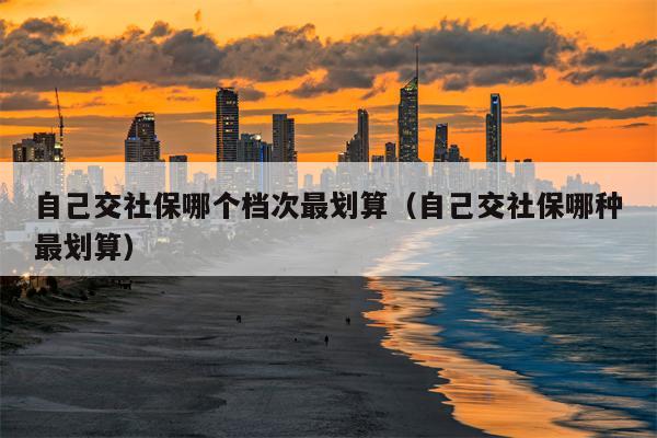 自己交社保哪个档次最划算（自己交社保哪种最划算）