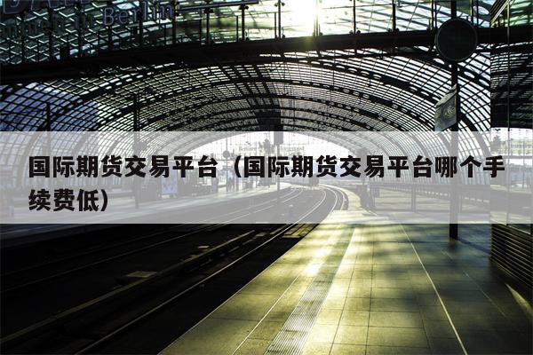 国际期货交易平台（国际期货交易平台哪个手续费低）