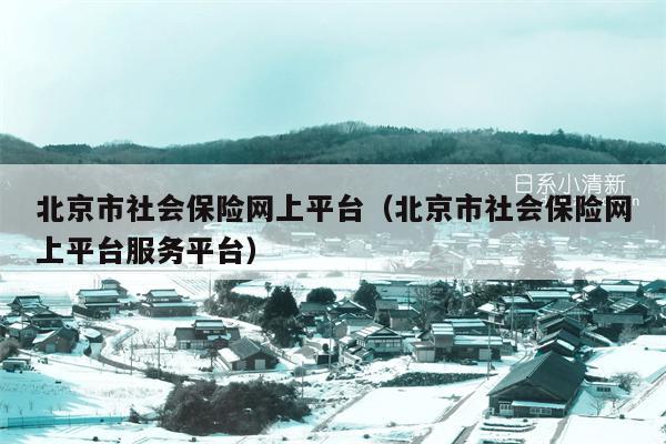 北京市社会保险网上平台（北京市社会保险网上平台服务平台）