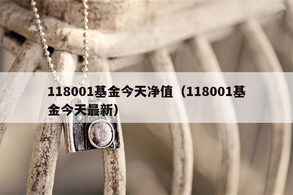 118001基金今天净值（118001基金今天最新）
