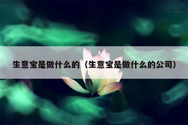生意宝是做什么的（生意宝是做什么的公司）