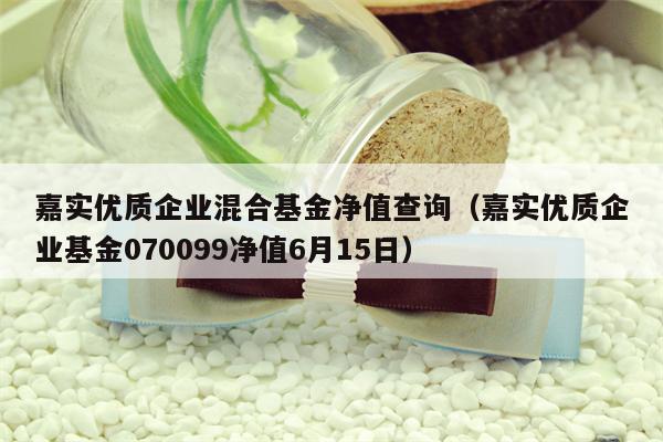 嘉实优质企业混合基金净值查询（嘉实优质企业基金070099净值6月15日）