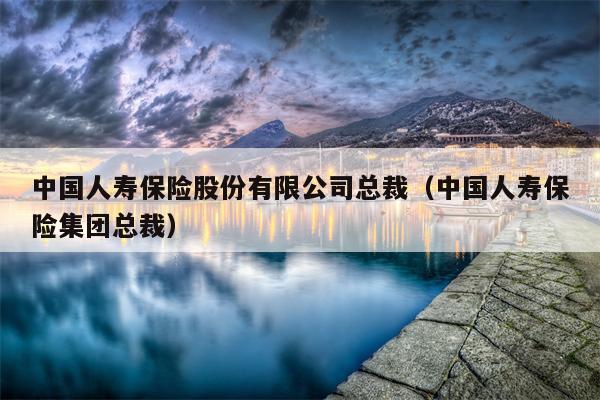 中国人寿保险股份有限公司总裁（中国人寿保险集团总裁）