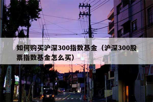 如何购买沪深300指数基金（沪深300股票指数基金怎么买）