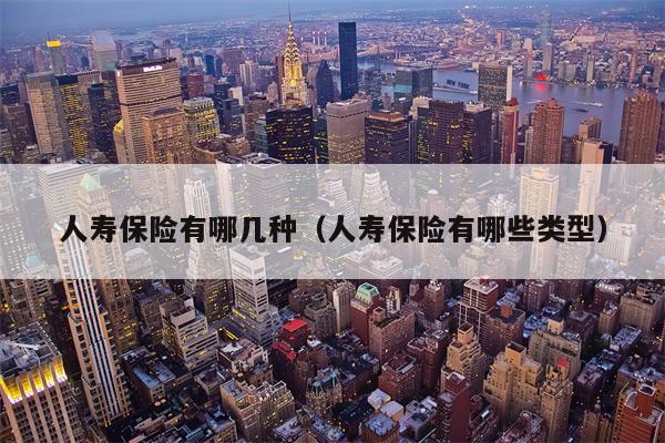 人寿保险有哪几种（人寿保险有哪些类型）