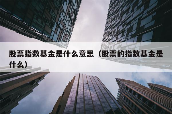 股票指数基金是什么意思（股票的指数基金是什么）