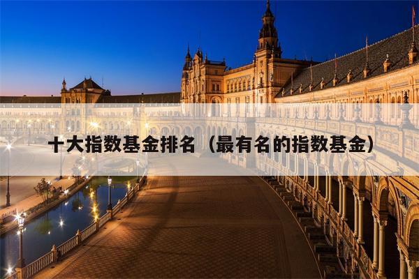 十大指数基金排名（最有名的指数基金）