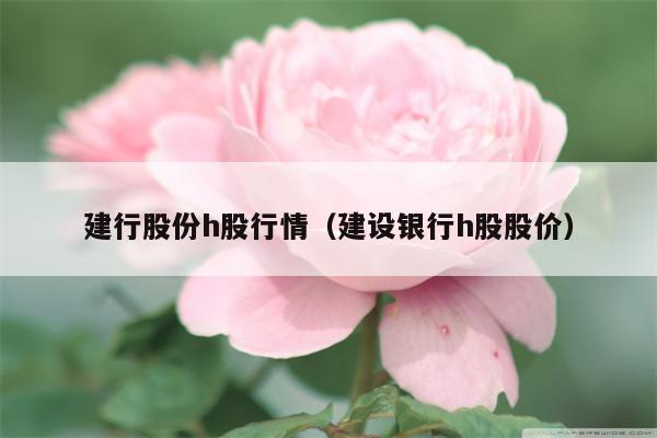建行股份h股行情（建设银行h股股价）