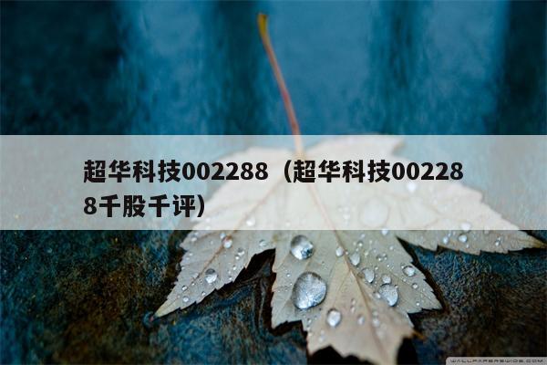 超华科技002288（超华科技002288千股千评）
