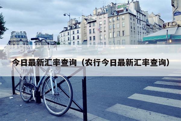 今日最新汇率查询（农行今日最新汇率查询）