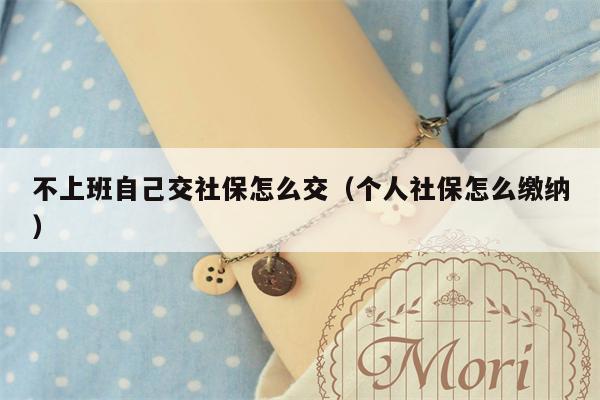 不上班自己交社保怎么交（个人社保怎么缴纳）