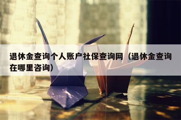 退休金查询个人账户社保查询网（退休金查询在哪里咨询）