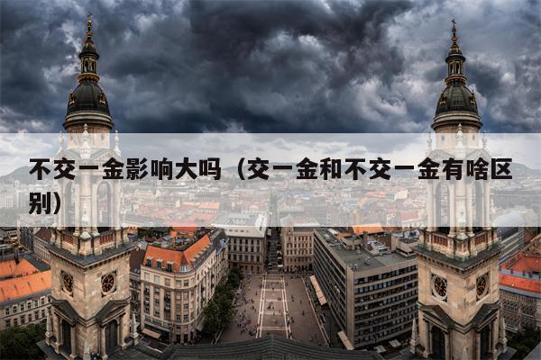 不交一金影响大吗（交一金和不交一金有啥区别）