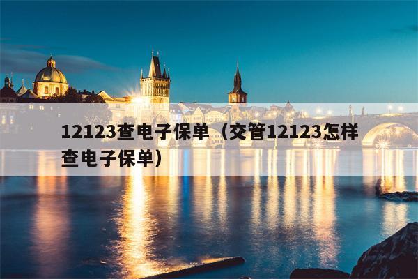 12123查电子保单（交管12123怎样查电子保单）