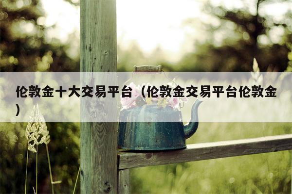 伦敦金十大交易平台（伦敦金交易平台伦敦金）